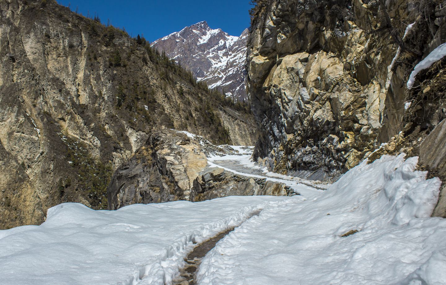 Trail to Dhikur Pokhari was covered by snow, Nepal