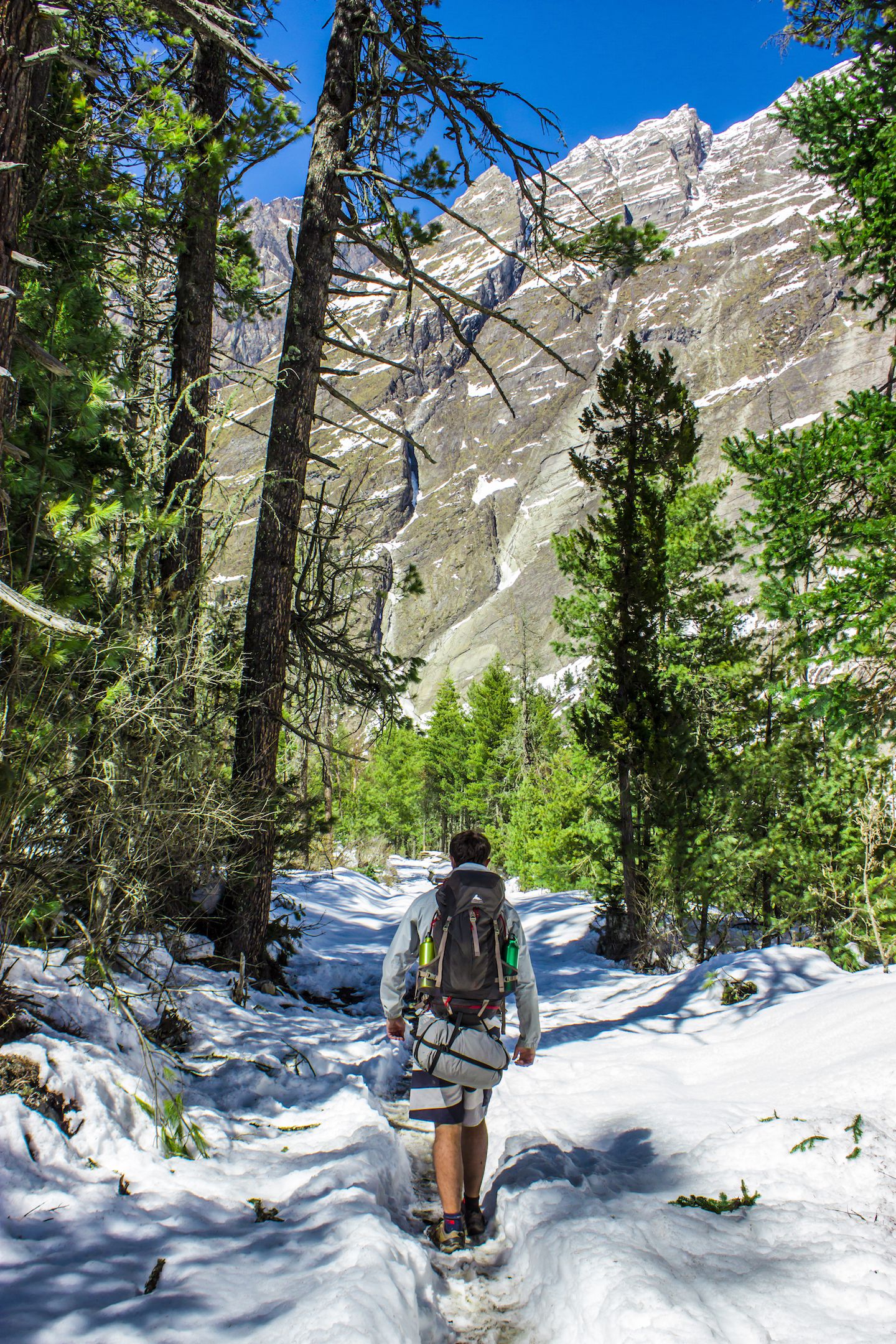 Carlos trekking the snowy forest, Annapurna Circuit, Nepal