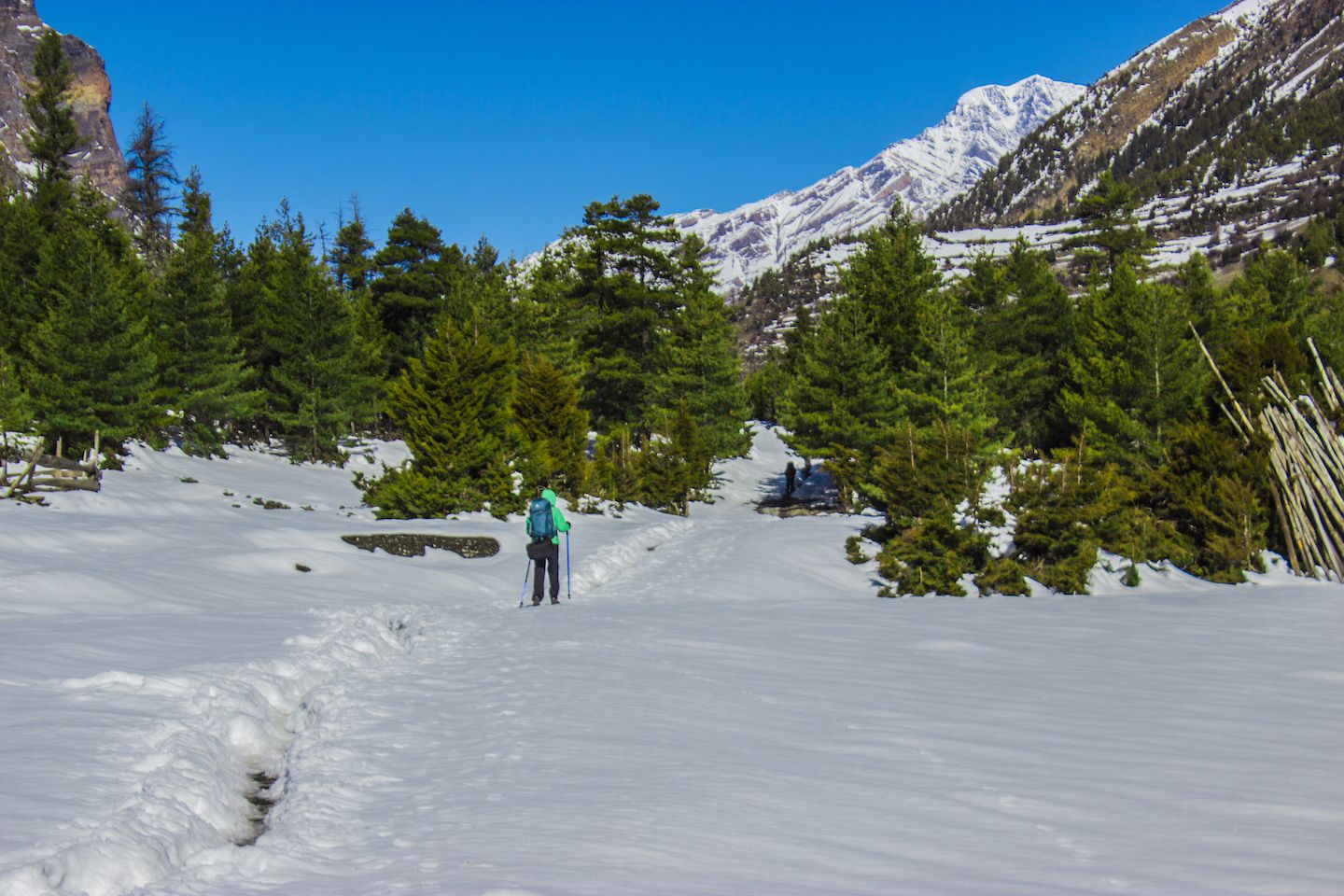 Julie trekking to Upper Pisang, Nepal