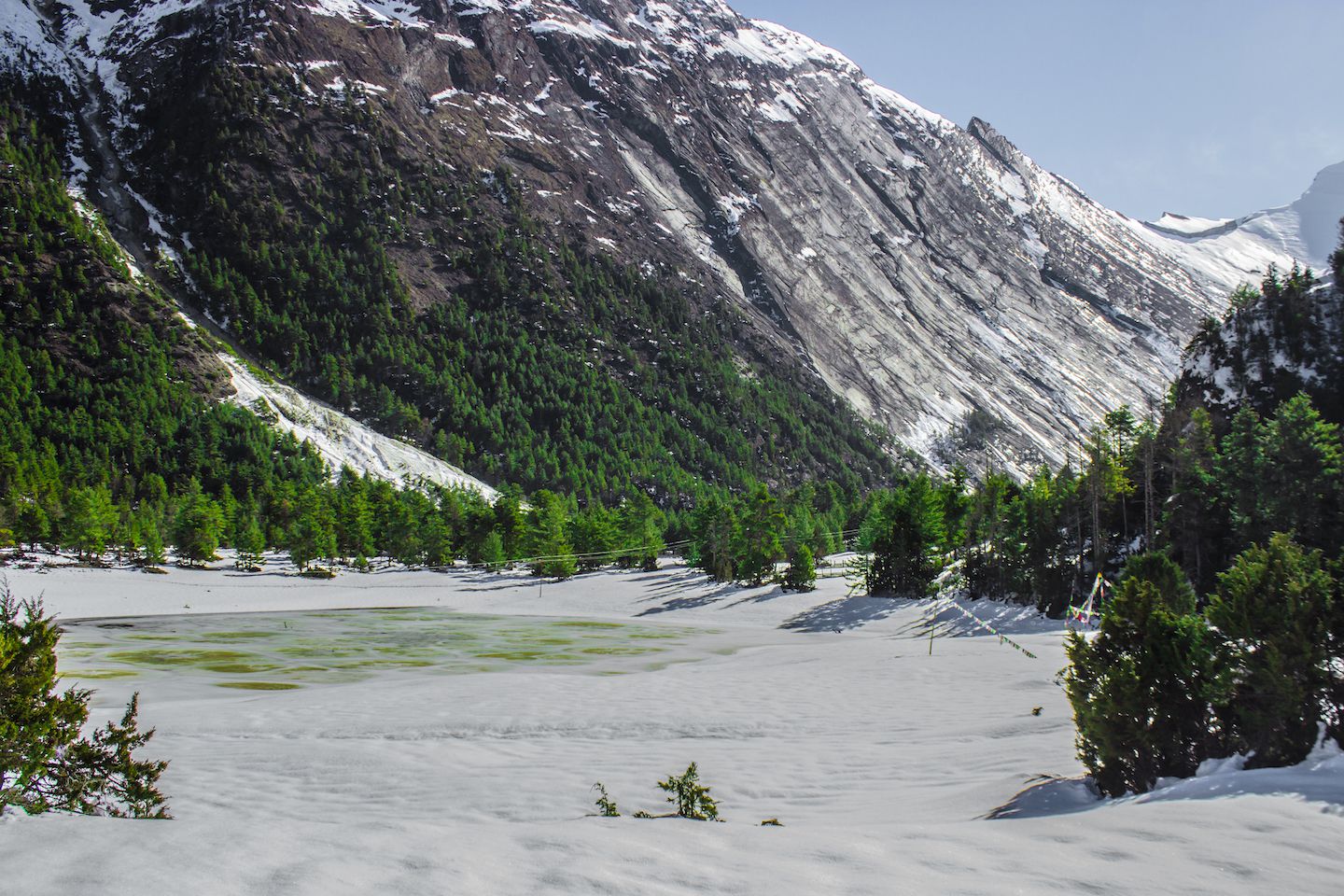 Frozen lake in Dhikur Pokhari, Nepal
