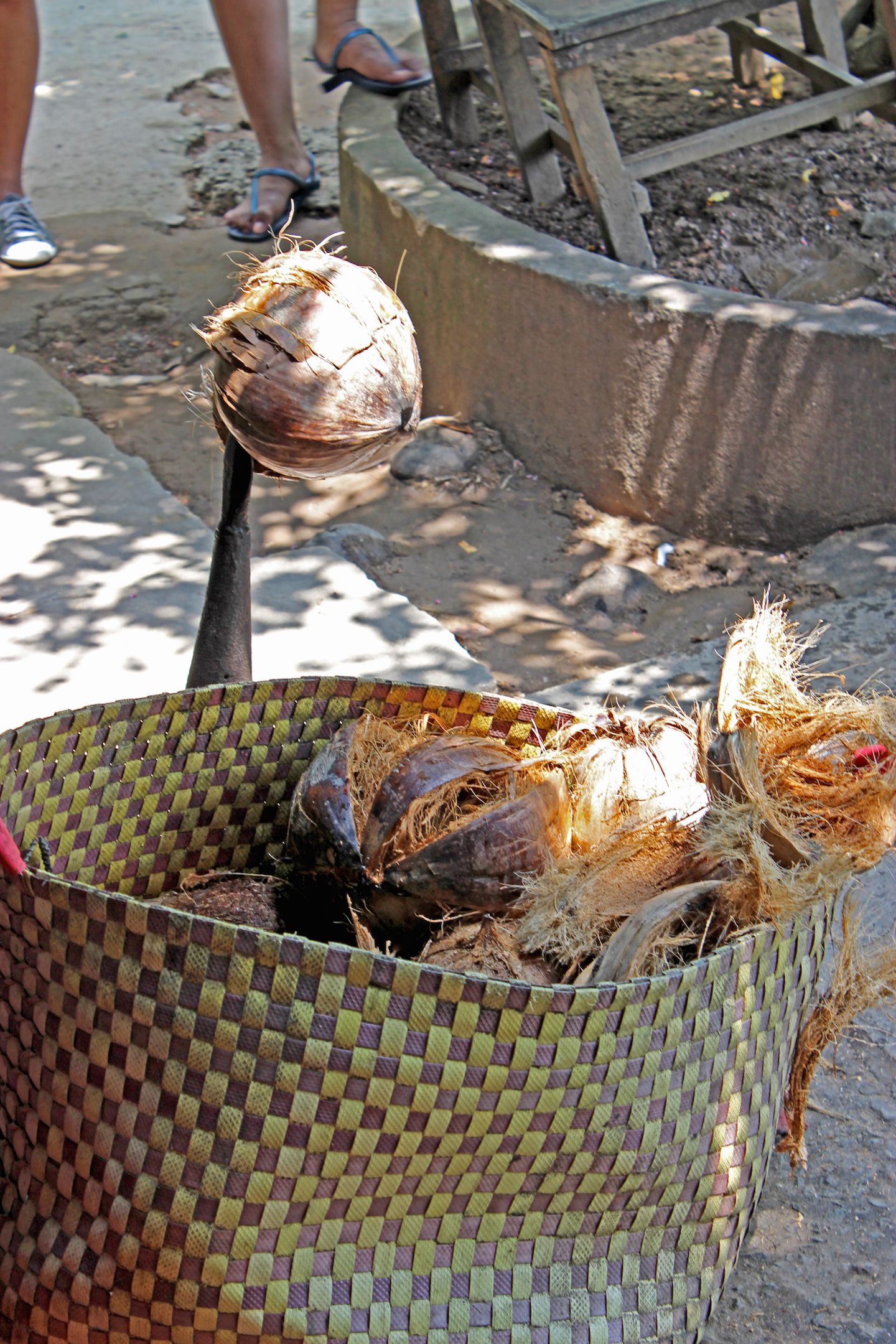 Opening the coconut