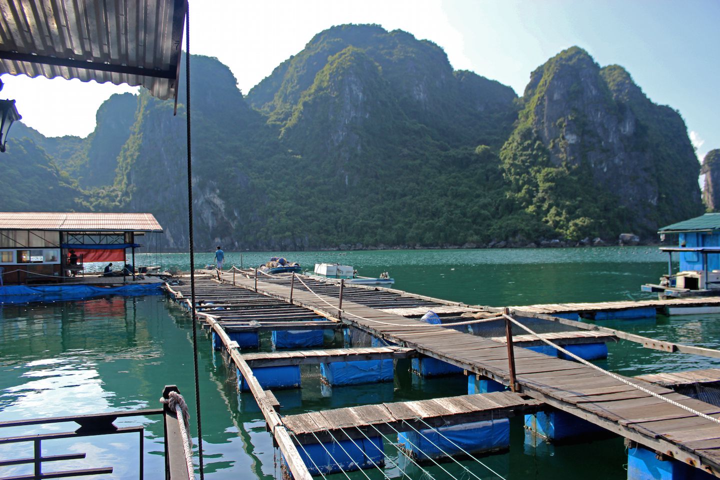 Pearl farm