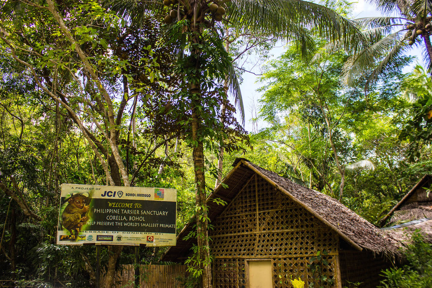 Tarsier Sanctuary, Bohol, Philippines