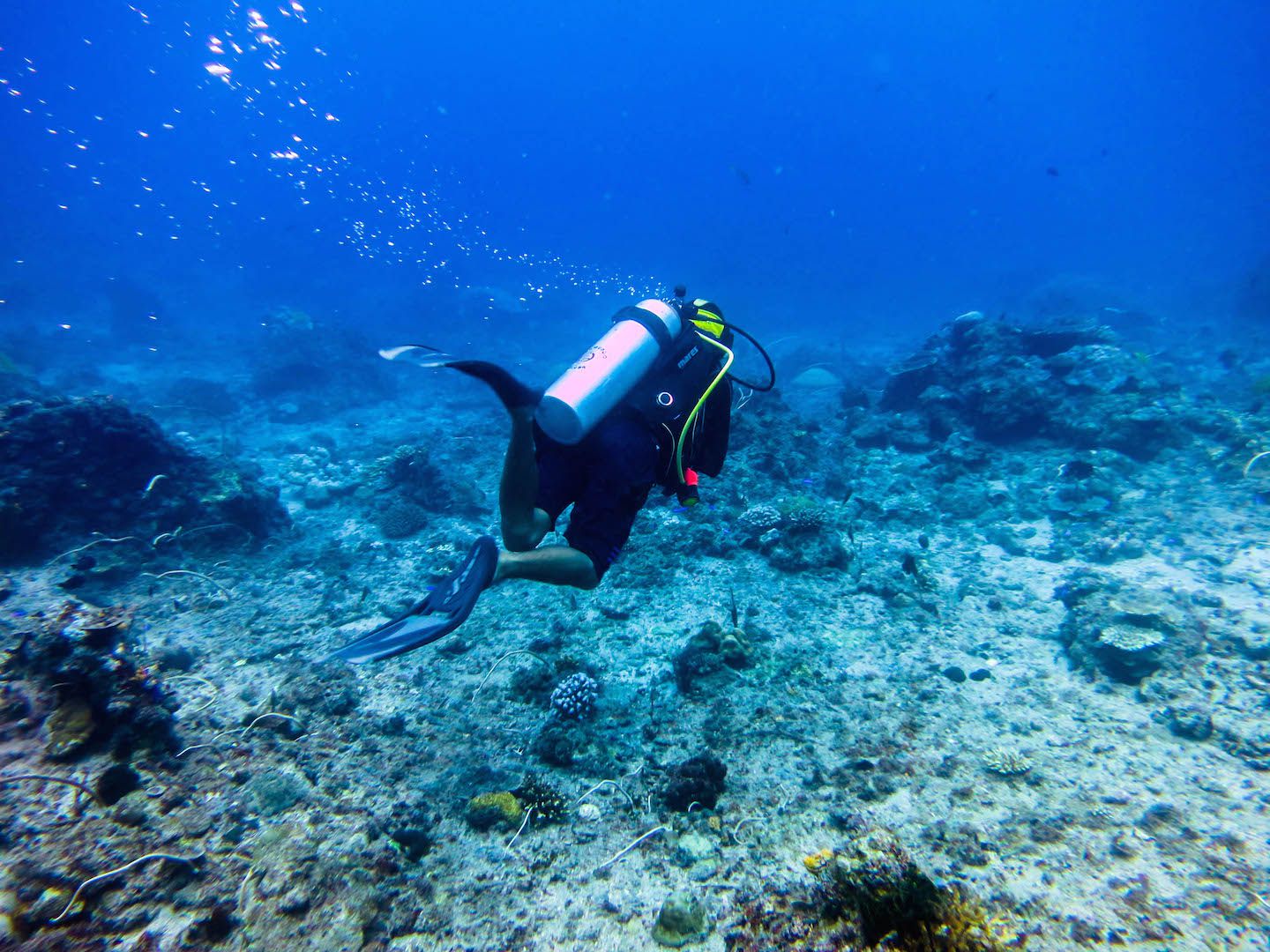 Diving at South Miniloc Dive Site, El Nido, Philippines