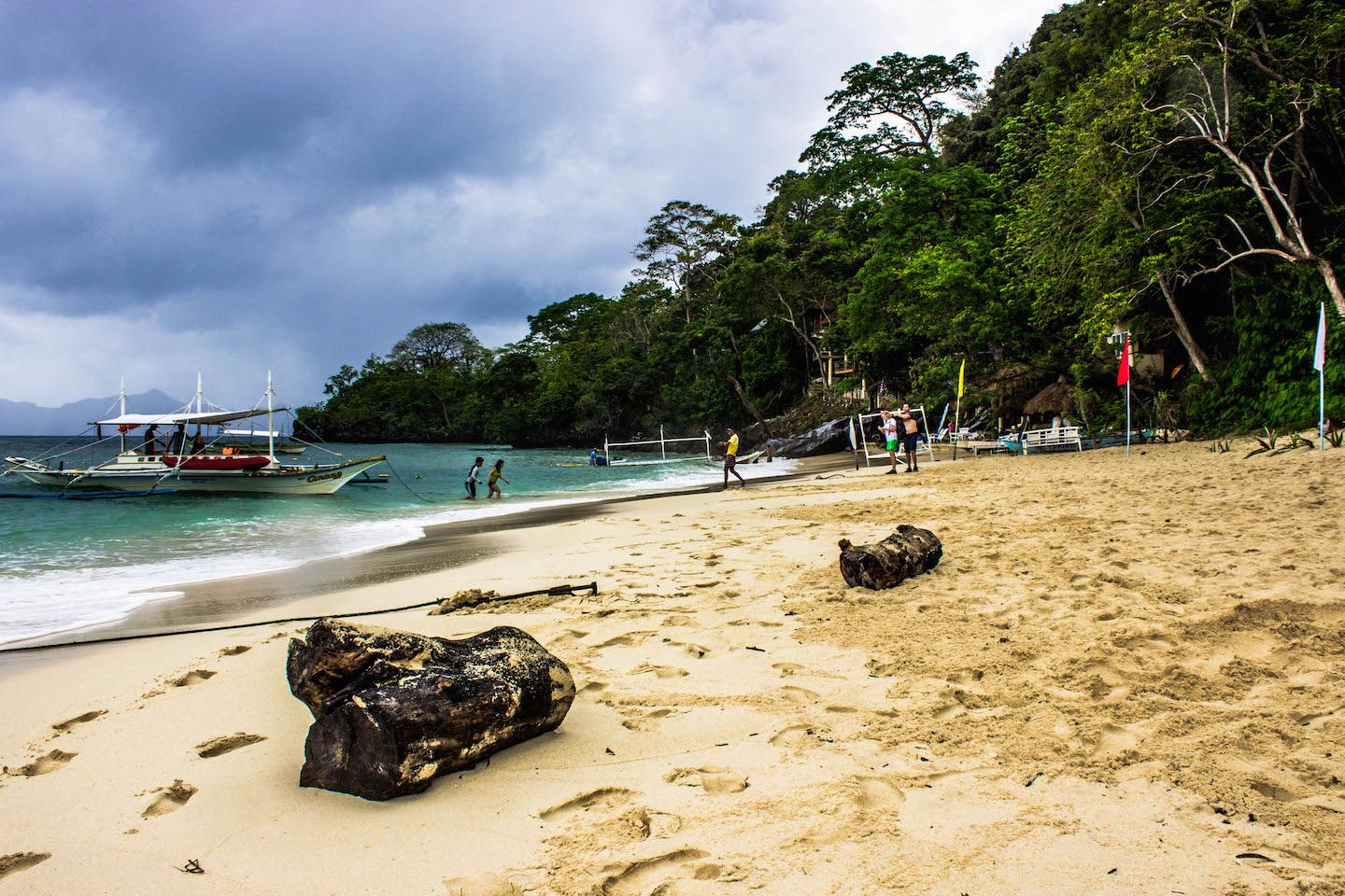 Logs at 7 Commando Beach, El Nido, Philippines