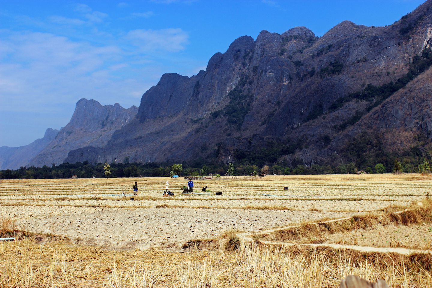 Rice fields with limestones mountains at Konglor Village, Laos