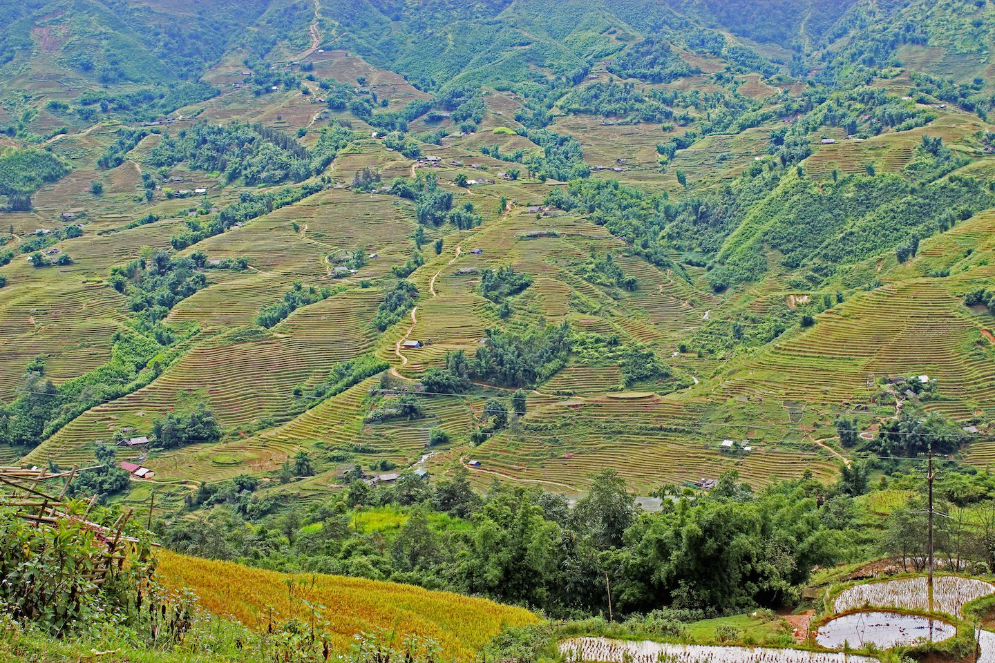 Rice paddies on the hills