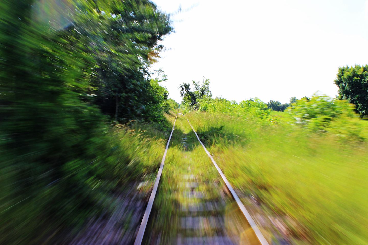 Riding the bamboo train