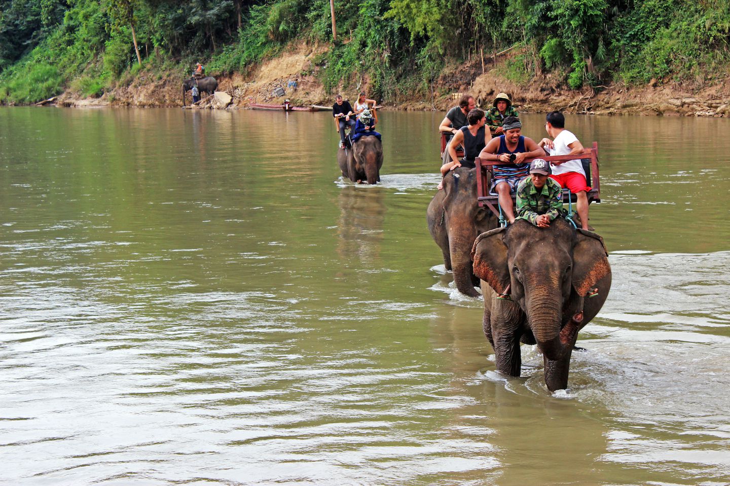 Riding the elephants in the river, Luang Prabang, Laos