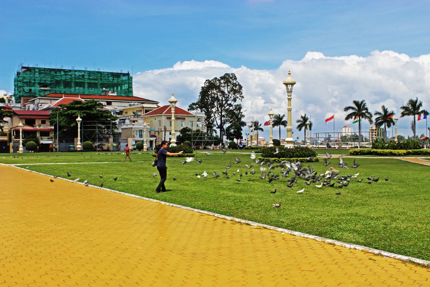 Running after the birds