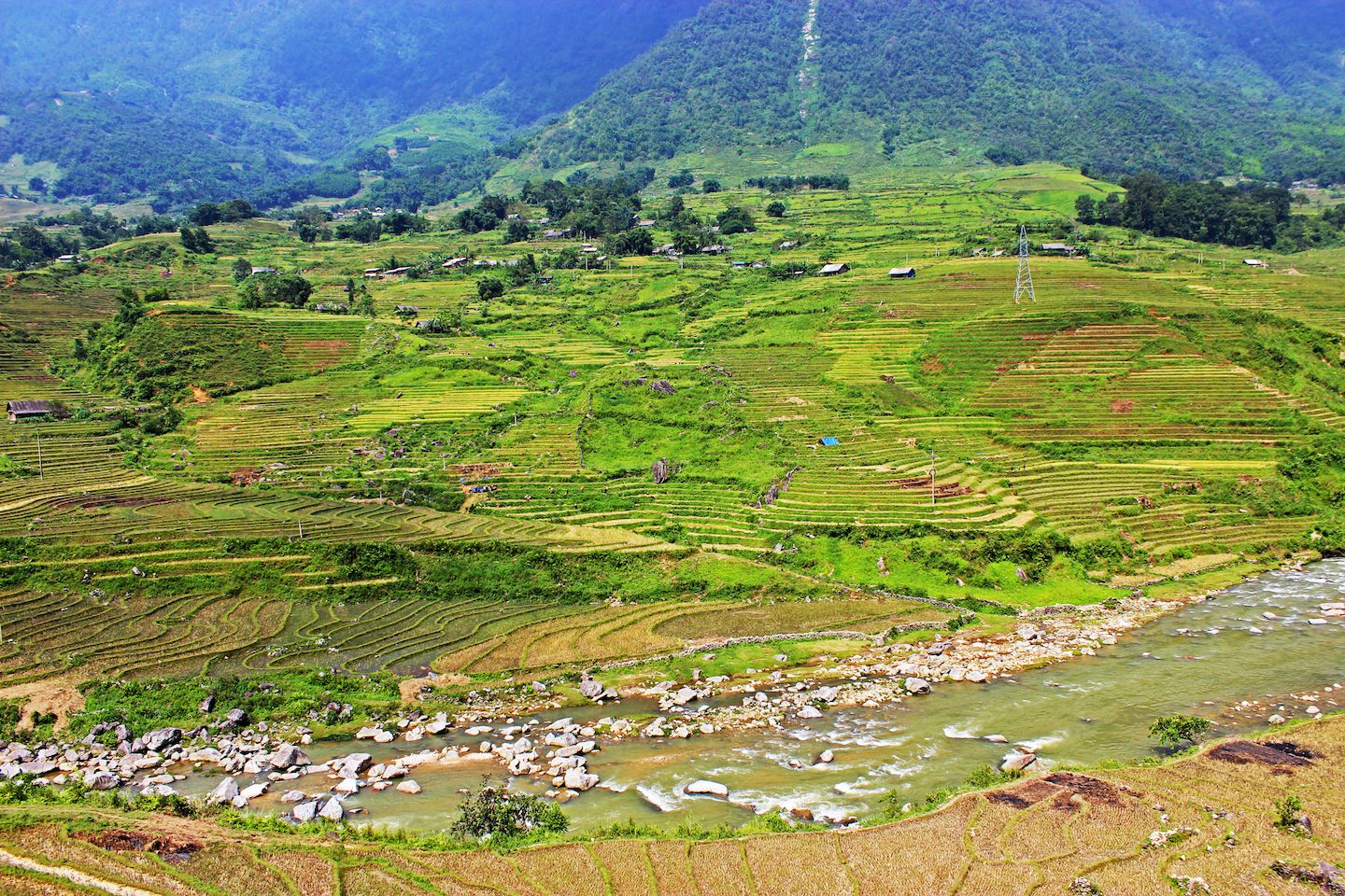 Sapa landscape