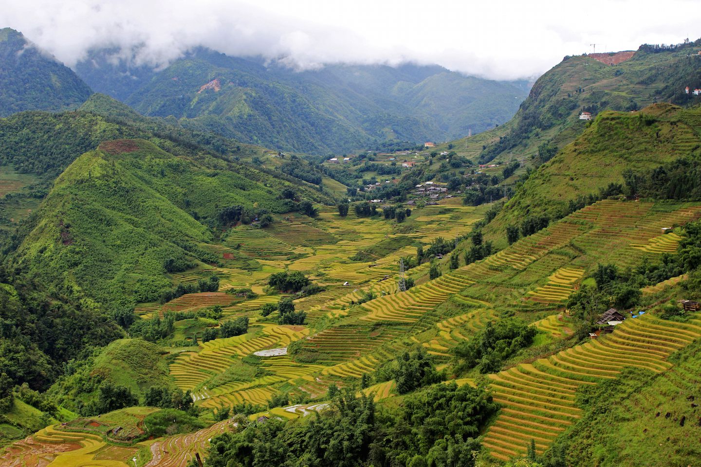 Sapa valley viewed from the rice paddies