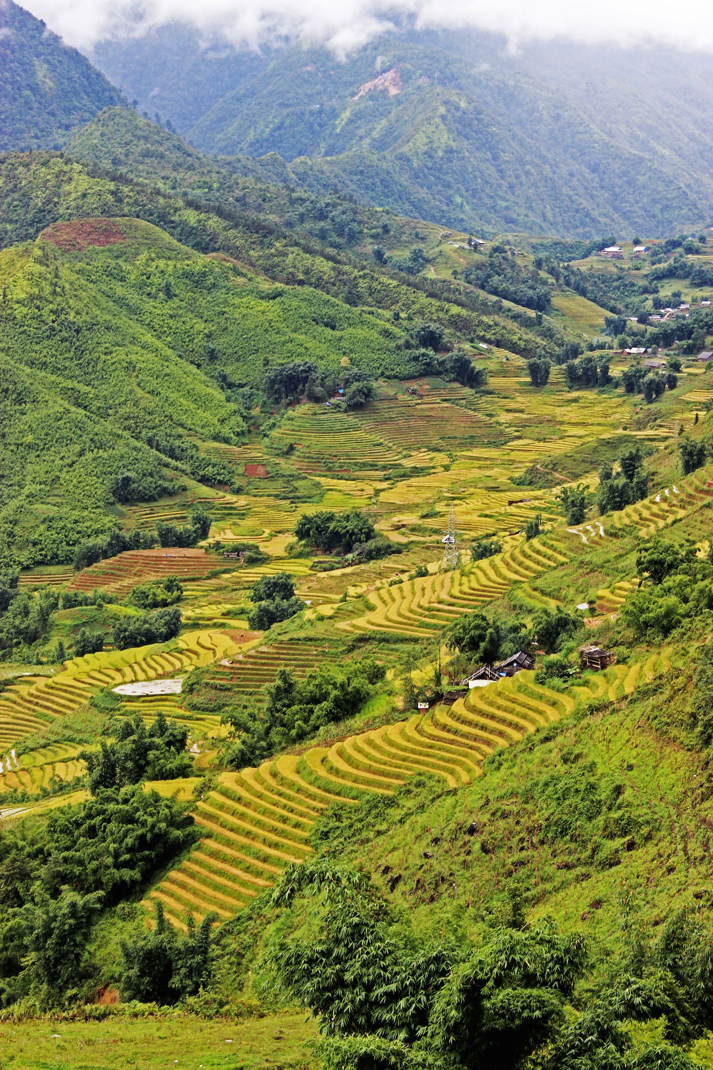 Sapa valley