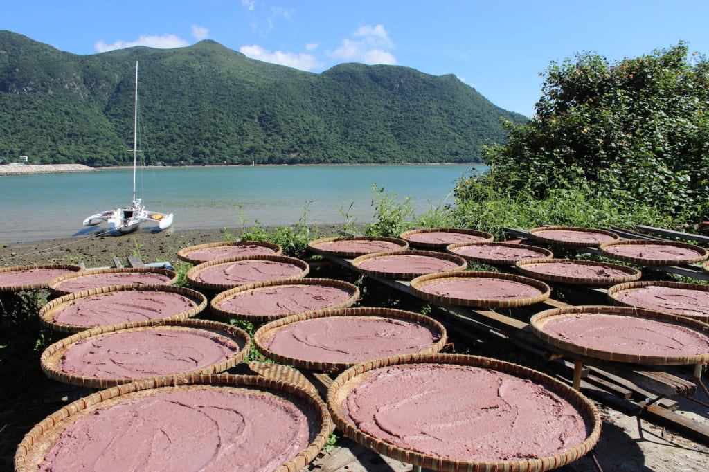 Shrimp paste left to dry in the sun at Tai O.