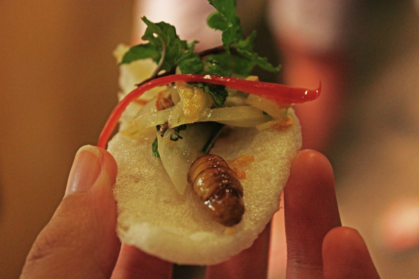 Silk worm sandwich