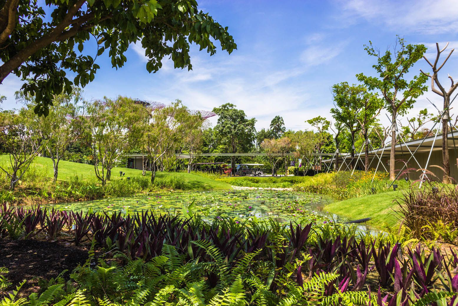 Heading to the gardens by the bay, Singapore