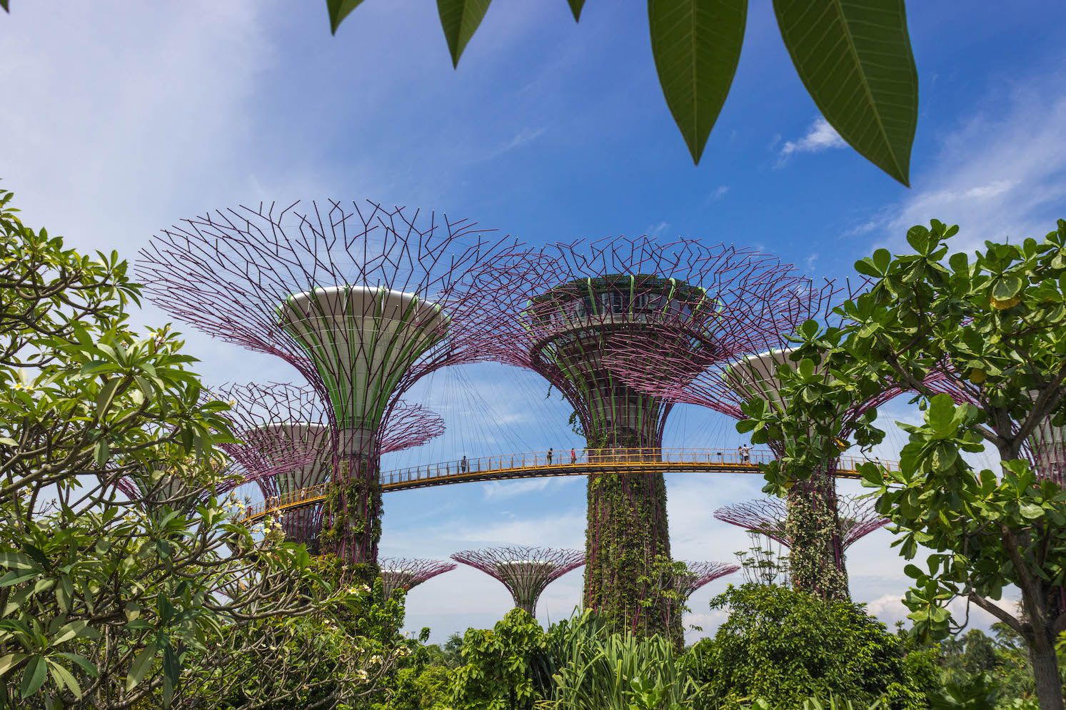 Gardens by the Bay, Singapore