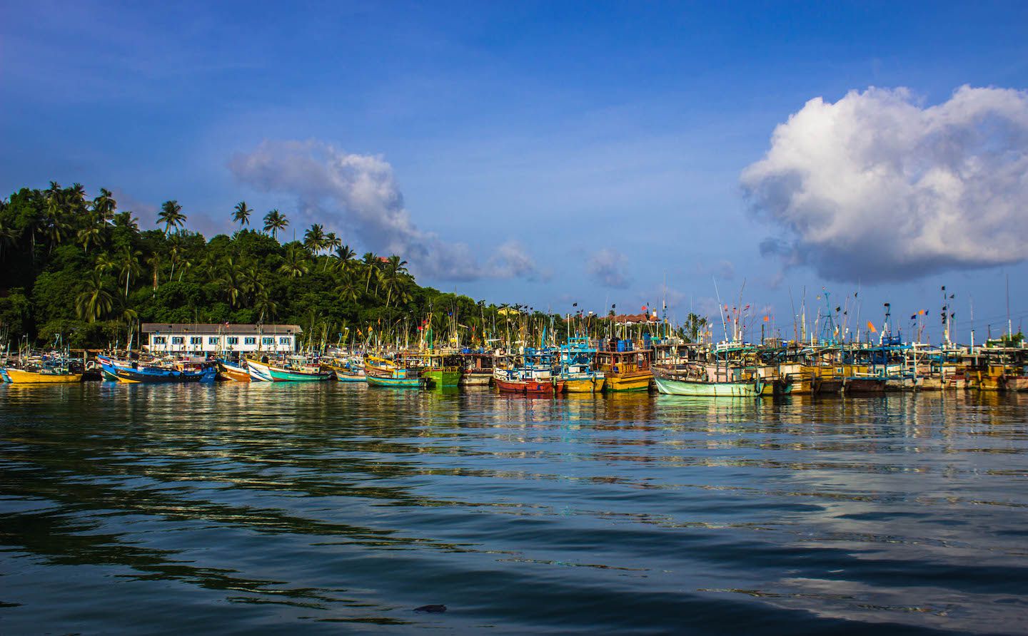 Fishing harbour, Mirissa, Sri Lanka