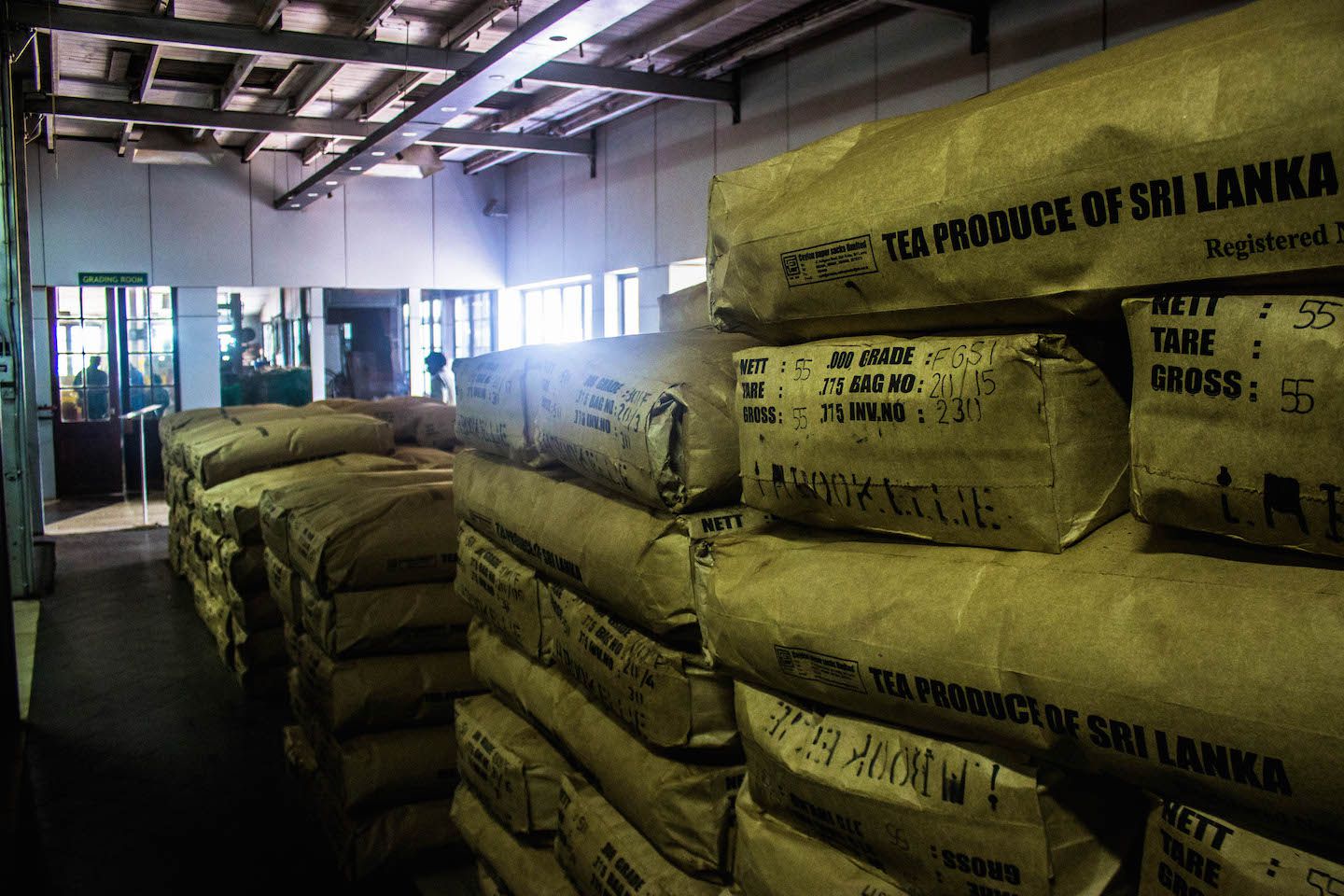 Packed tea leaves at the Mackwoods Tea Factory, Nuwara Eliya, Sri Lanka