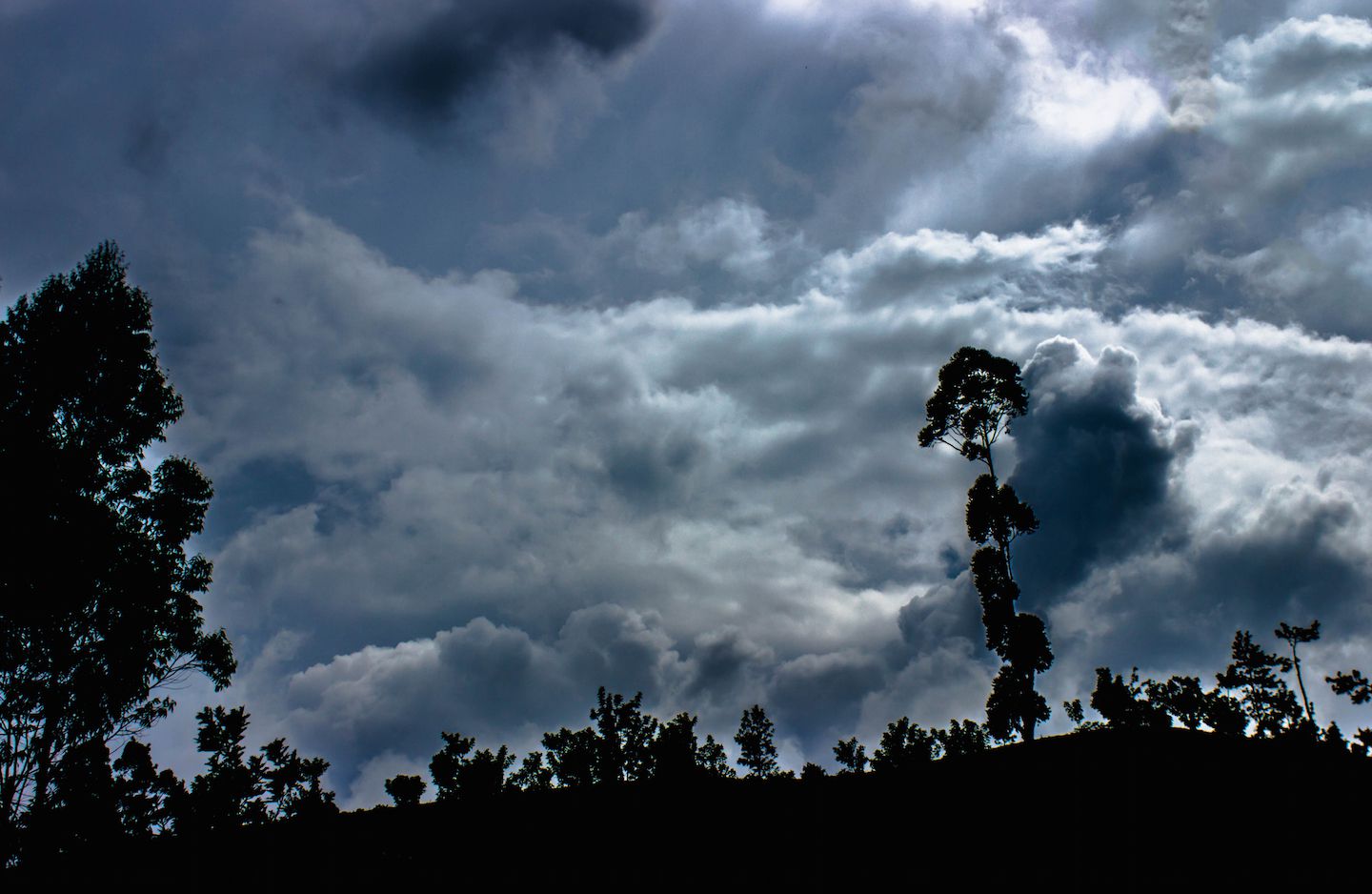 Ominous clouds over the tea fields, Nuwara Eliya, Sri Lanka