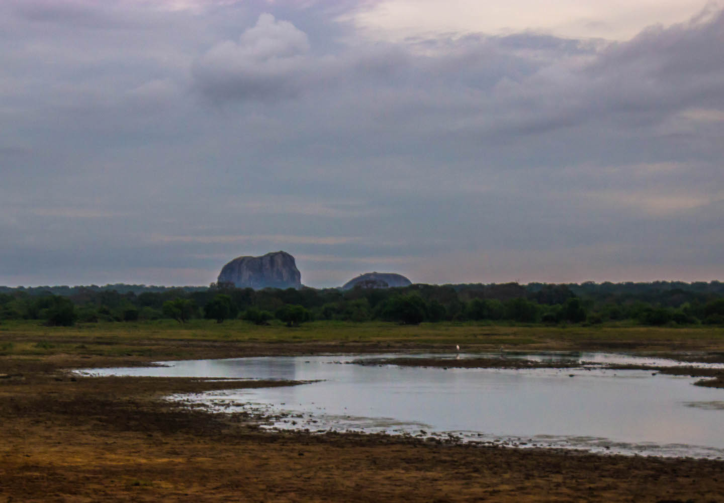 View of the plains at the Yala National Park, Sri Lanka
