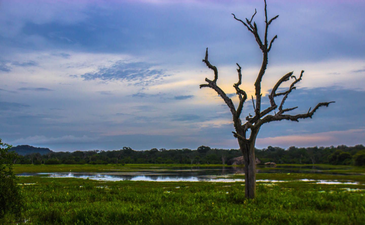 Lake at the Yala National Park, Sri Lanka