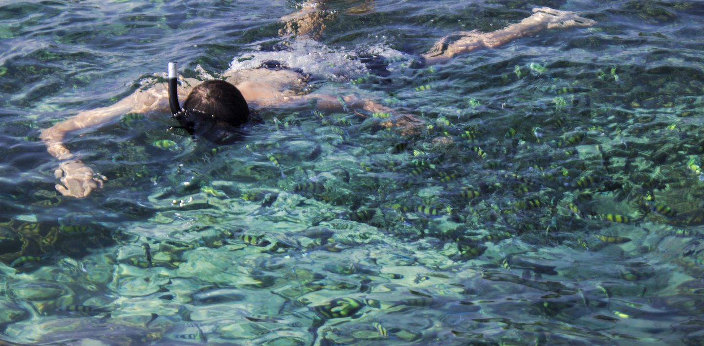 Carlos snorkeling on Koh Kradan, Thailand