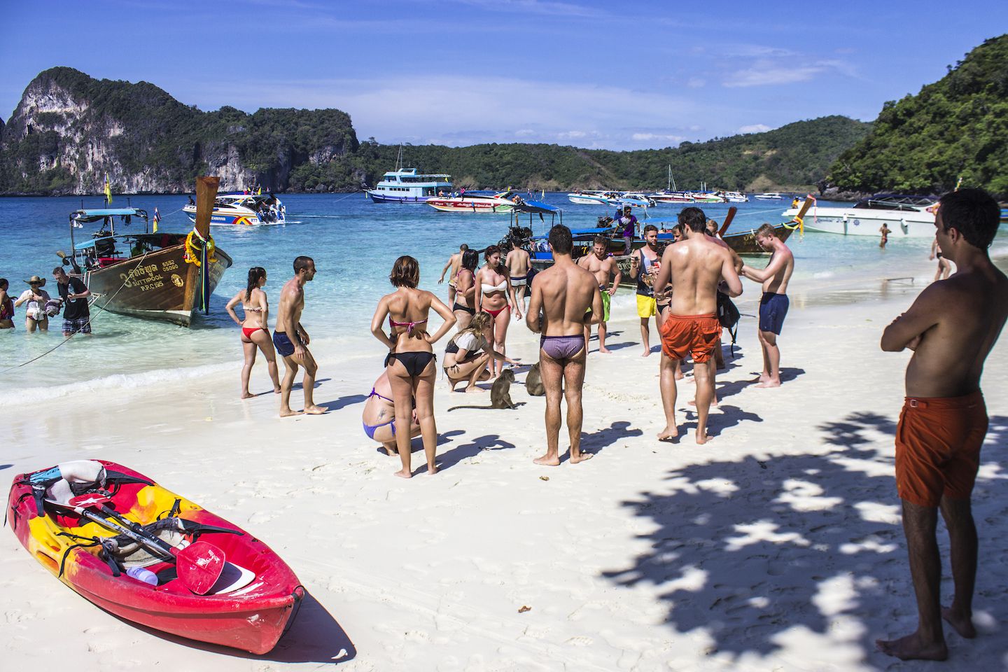 Tourists crowding around the monkey, Monkey Beach, Koh Phi Phi Don, Thailand