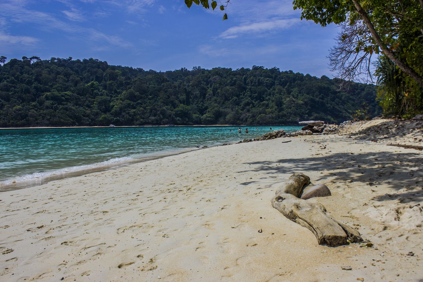 Beach on Koh Rok Nok, Thailand