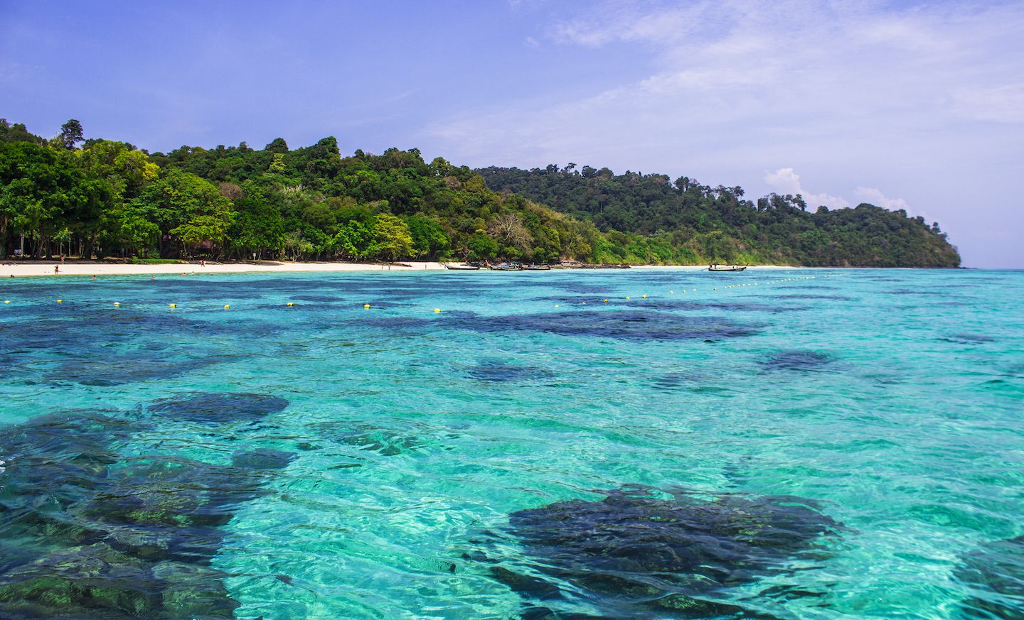 View of the corals of Koh Rok, Thailand