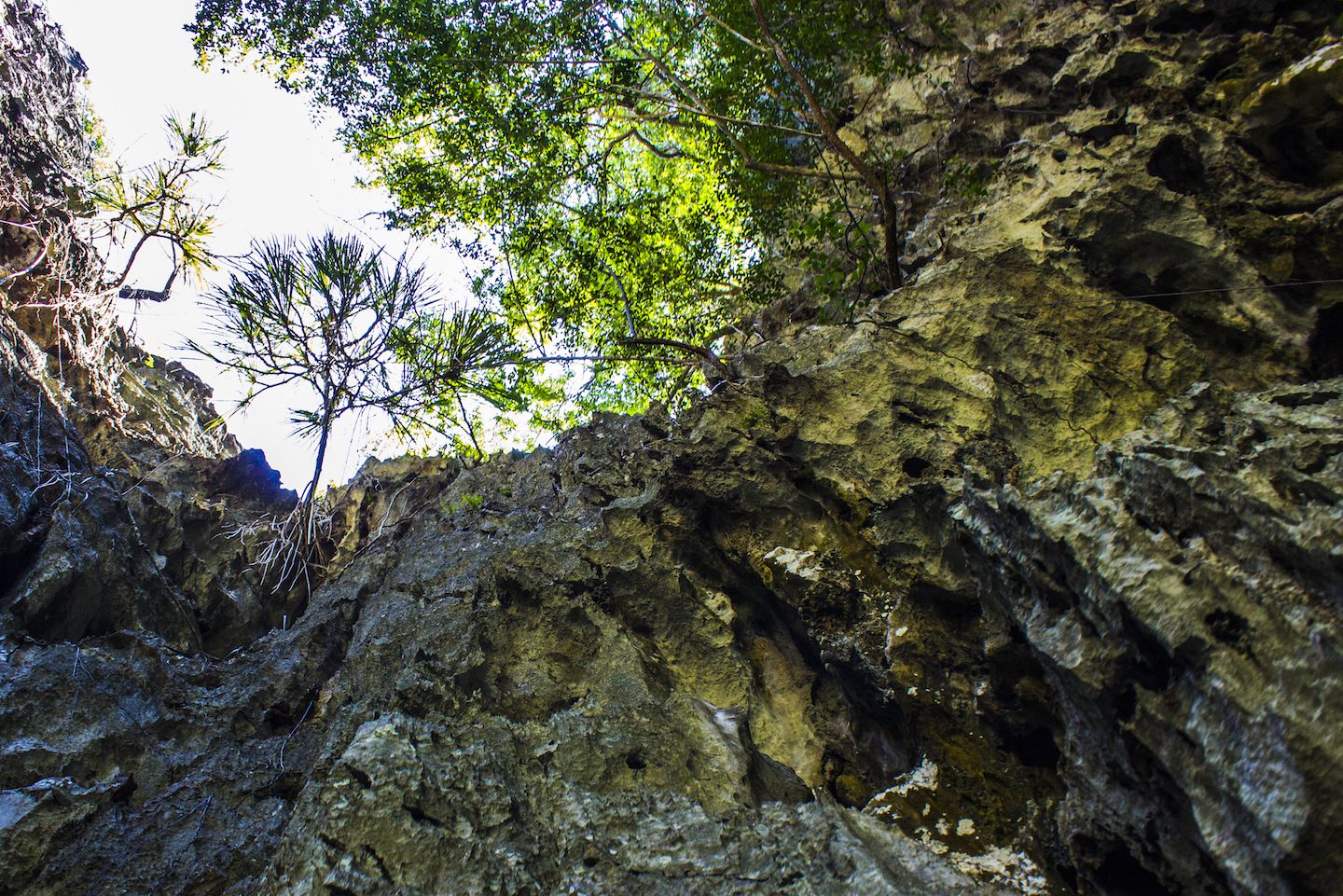 View from the inside of the cave, Phang Nga Bay, Thailand