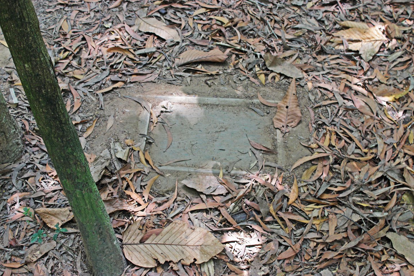 The tunnel entrances would be covered with dirt and leaves