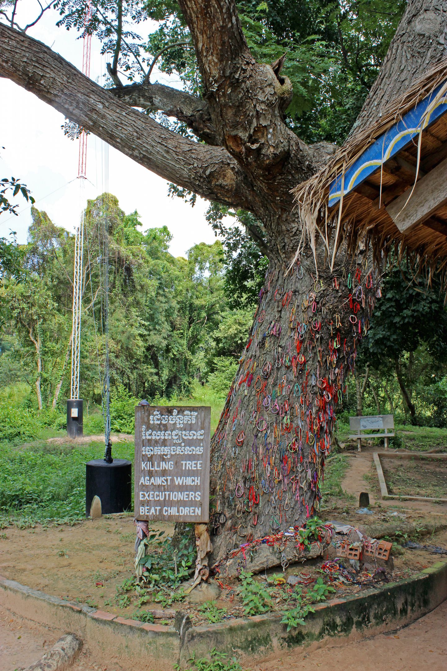 Tree where babies were killed at the Choeung-Ek Killing Fields