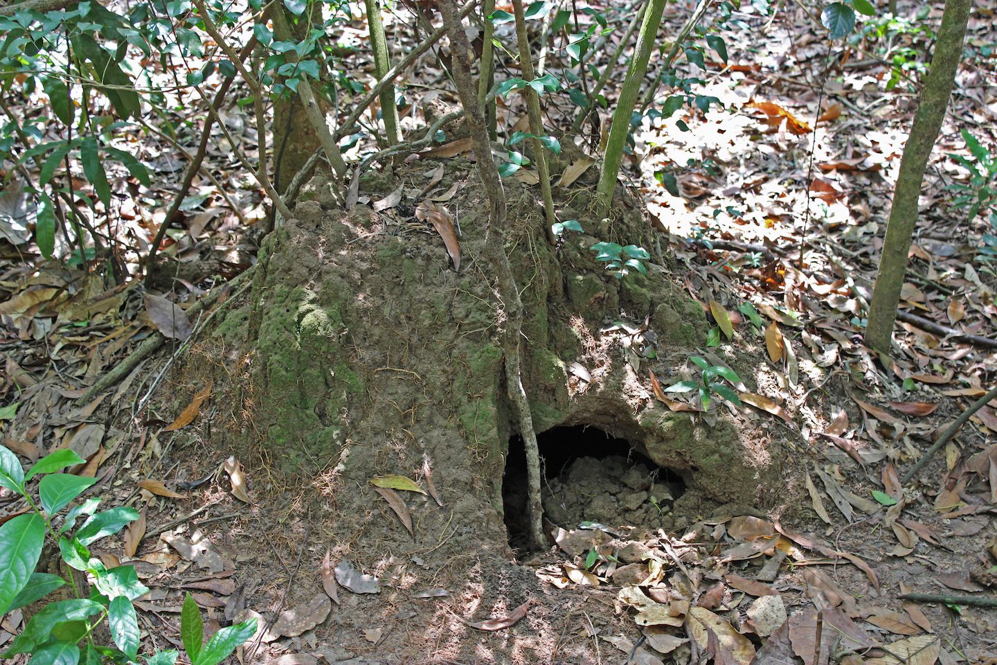 Tunnel ventilation system