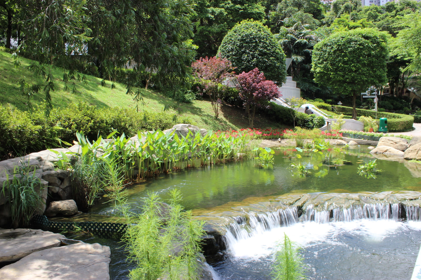 Walking at Hong Kong Park is a nice escape from the city and 100% free.