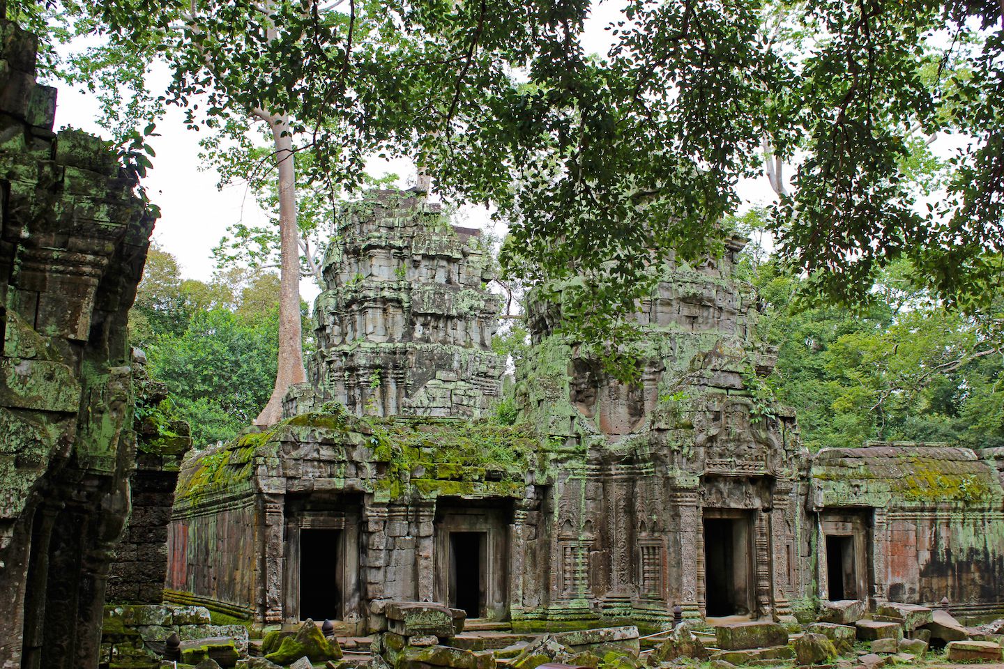 Walking in the corridors of Ta Prohm