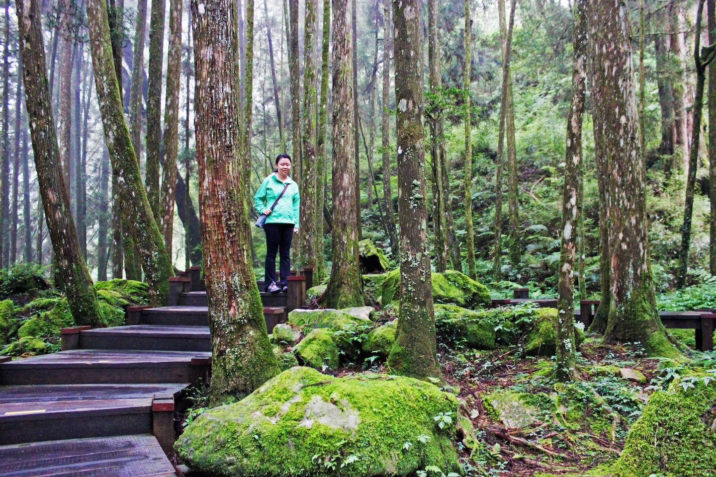 Walking in the forest