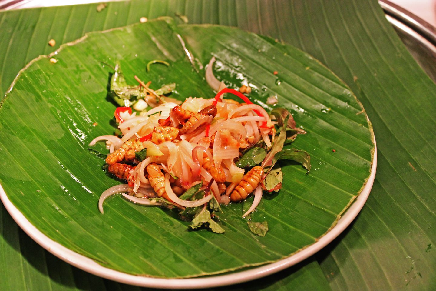 Weird food tasting - silk worm