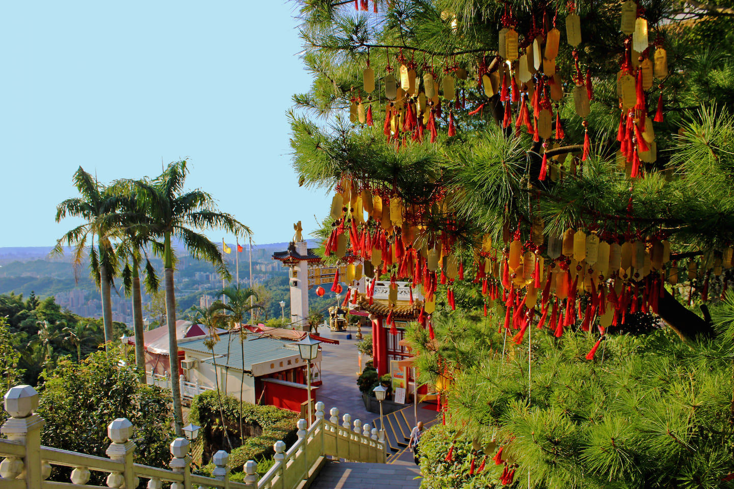 Wishing trees on the way to Zhinan Temple
